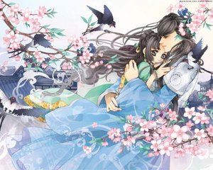菠萝导航网页版